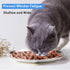 Stainless Steel Cat Dishes for Food and Water Bowls for Small and Medium Pets Relief of Whisker Fatigue -4 Sets Shallow Style...