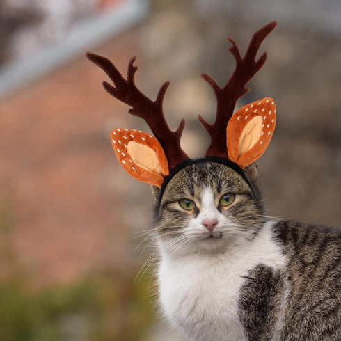 Beaupretty Christmas Hat for Cat Pet Deer Costume Hat Dog Reindeer Costume Elastic Band Adjustable Antler Headband Cat Costume Cat Christmas Antle...