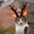 Beaupretty Christmas Hat for Cat Pet Deer Costume Hat Dog Reindeer Costume Elastic Band Adjustable Antler Headband Cat Costume Cat Christmas Antle...