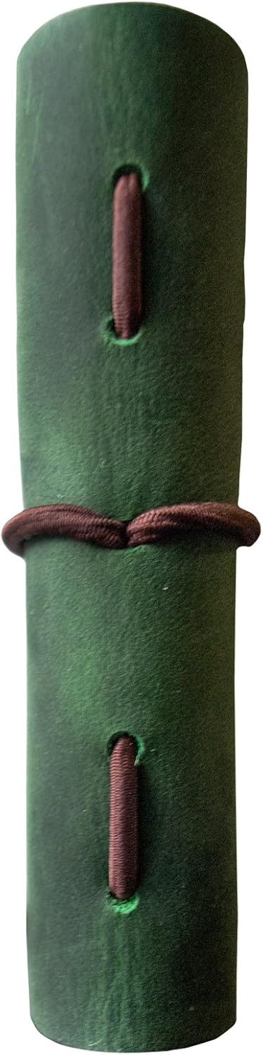 pocket-sized leather notebook (2.5 x 4) (green)...