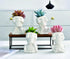 2Packs Humanoid Skull Skeleton Man Ceramic Plant Flower Pot, Creative Decorative White Mini Succulent Planter Ceramic Pot/Saucer Have Drainage Hol...