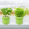 2-Pack Smiling Cute Plant-Pots - Plastic Funny Face Flower Pots with Drainage, Unique Cute Planters for Indoor Plants, Gifts for Plant Lovers...