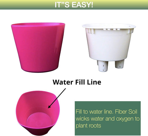 Window Garden – Aquaphoric Self Watering Mini Planter Pots (3 Pack) – Grow On Indoor Sill. Perfect for Potting Small Plants, Herbs, African Violet...