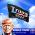 Donald Trump 2024 Flag 3×5 ft President Trump Flag 2024 Double Sided Polyester with Copper Grommets Trump Flags for Indoor Outdoor (Black)...