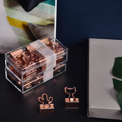 Cactus Binder Clips with Cute Rose Gold Medium Binder Clips in Acrylic Crystal Box for Office School and Home Supplies...