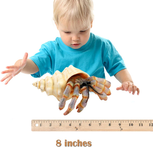 Gemini&Genius Sea Animal Hermit Crab Action Figure Toy for Kids, Soft Rubber Realistic Ocean Crab Educational and Role Play Toys for Kids and Coll...