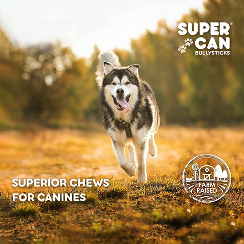 SUPER CAN BULLYSTICKS Half Pig Ears for Dogs (15 Count) All Natural Dog Treats Pig Ears - Healthy Dog Treats - Pig Ears for Dogs Large - Natural D...