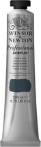 Winsor & Newton Professional Acrylic Paint, 200ml (6.75-oz) Tube, Payne's Gray...