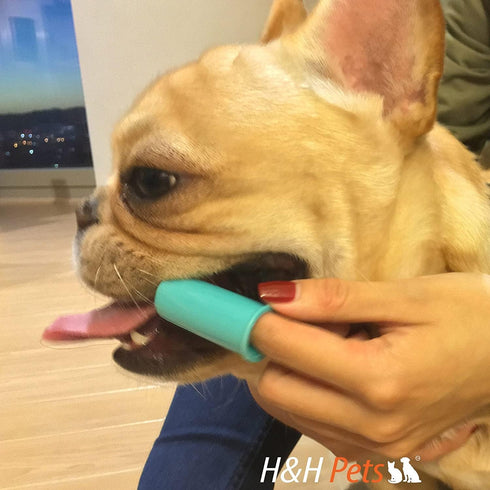 Professional Dog Finger Toothbrush by H&H Pets,Pack of 4...
