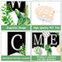 61 Pieces Simply Boho Welcome Classroom Bulletin Board Set Eucalyptus Bulletin Board Classroom Decoration Balloon Paper Fans Cutouts for Primary S...
