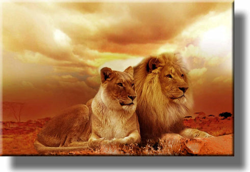 African Lion and Lioness Picture on Stretched Canvas Wall Art Décor Framed Ready to Hang!...