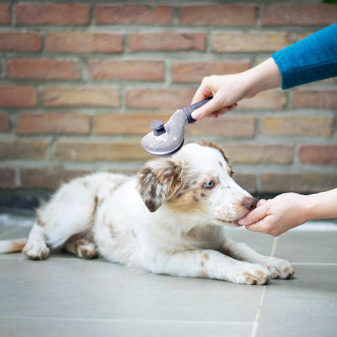 Full Diamonds Self Cleaning Slicker Brush for Dogs & Cats, Skin Friendly Grooming Cat Brush, Dog Brush for Shedding, Deshedding Brush, Hair Brush ...