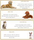 2 in 1 Pet Paw Hair Trimmer Electric Multi Dog Hair Clippers for Thick Coat Cordless Grooming Tool Kid Hair Clipper for Child Rechargeable for Med...