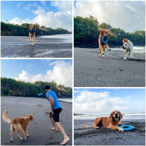 SuperChewy Tough Floating Dog Water Toy Strong Natural Rubber | Great Dog Fetch Toy | Pool Swimming Toy for Puppy| Durable Training Toy for Non-Ag...