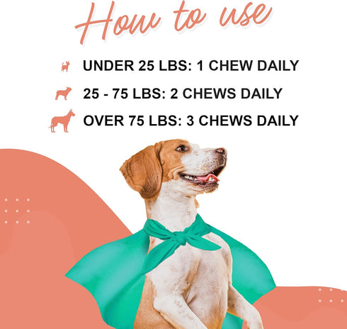 Skin & Coat Supplement for Dogs with Salmon Oil, Omega 3 & 6, EPA & DHA, Promotes Healthy Skin and Coat, Itchy Relief, Joint and Overall Health, D...