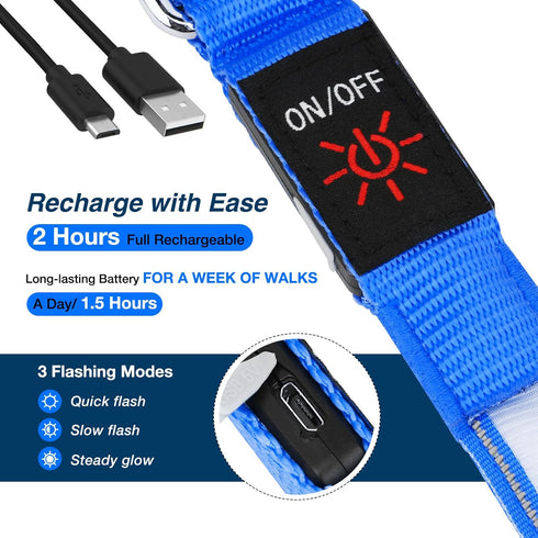 LED Light Up Dog Leash - 4 Ft USB Rechargeable Reflective Nylon Leash with Padded Handle - Flashing Luminous Glow Leashes for Large Medium Pets Ni...