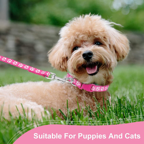 2 Packs Dog Collar and Leash Set, Puppy Collar and Lead Set Quick Release Buckle Adjustable Paw Print Puppy Collar Soft Nylon Pet Collar for Puppy...