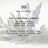 Muse Apothecary Room Ritual - Aromatic and Relaxing Room Mist, 4 oz, Infused with Natural Essential Oils - Aloe + Eucalyptus + Lavender...