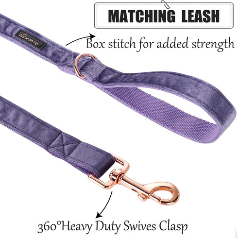ARING PET Dog Leash, Velvet Dog Leashes Matching Dog Collars, Handmade Strong Purple Velvet Walking Dog Leash for Small Medium Large Dogs...