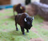 Gemini&Genius North American Bison Figurine Animal Toy, Bull Action Figure, Wildlife Play Toy for Kids, Hand Painted, Realistic and Durable Toys f...