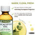 De La Cruz Eucalyptus Essential Oil Aromatherapy for Diffuser or Humidifier, 100% Pure Steam Distilled Eucalyptus Globulus 4 FL OZ...