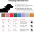 Soft Corduroy Fibric Dog Collar with High Grade Metal Buckle, for Small Dogs.(White,Small:10-15")...