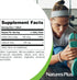 NaturesPlus IcelAndic Kelp - 150 mcg Iodine; 150 mg Kelp- 300 Vegetarian Tablets - Natural Iodine Supplement - Gluten-Free - 300 Servings...