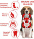 GAOMON Squeaky Dog Toys, Durable Plush Chew Toys in Fox Shape, Interactive Tug of War Toy for Small and Medium Dogs...