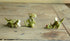 Top Collection 4412 Miniature Fairy Garden & Terrarium Mini Dragon Statue, Small...