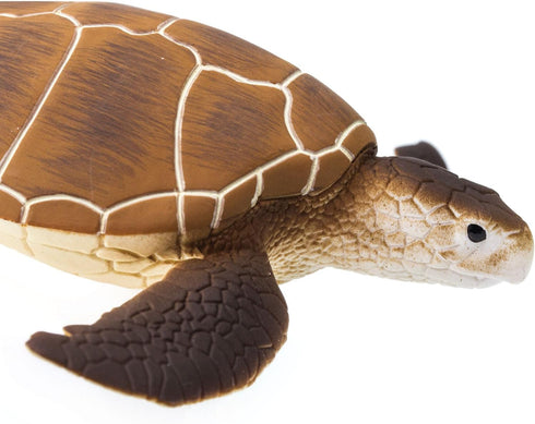 Safari Ltd. Green Sea Turtle Figurine - Detailed 4" Plastic Model Figure - Fun Educational Play Toy for Boys, Girls & Kids Ages 1+...