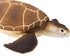 Safari Ltd. Green Sea Turtle Figurine - Detailed 4" Plastic Model Figure - Fun Educational Play Toy for Boys, Girls & Kids Ages 1+...
