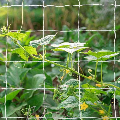Tcamp Heavy-Duty Polyester Plant Trellis Netting 5 x 15ft (1 Pack) (5 Ft X 15 Ft)...