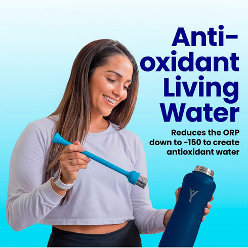 DYLN VitaBead Diffuser | Creates Hydrogen-Rich, pH 9+ Alkaline Antioxidant Water | Replacement for DYLN Bottle | Natural Mineral Ionized Hydrogen ...