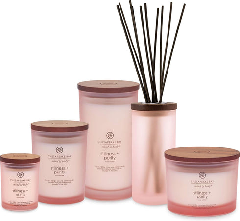Chesapeake Bay Candle PT40896 Scented Candle, Stillness + Purity (Rose Water), Coffee Table,Orange, Home Décor...