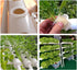 50 Pack 1.77" Garden Plastic Slotted Mesh Net Cups Pots, Round Heavy Duty Home Garden Bucket Basket Plant Nursery Pots for Hydroponics/Aquaponics/...