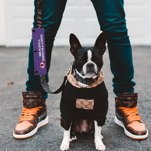 Funny Dog Leash Sleeve Don't Touch Me Dog Leash Wrap Social Distancing Dog Patch (Don't Touch Me)...