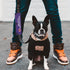 Funny Dog Leash Sleeve Don't Touch Me Dog Leash Wrap Social Distancing Dog Patch (Don't Touch Me)...