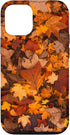 iPhone 12/12 Pro Autumn Season Happy Fall Leaves Thanksgiving Cell Phone Case...