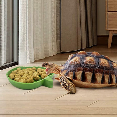 Leaf Shape Reptile Food Water Bowl 2 Pieces Reptile Plate Dish Drinking Bowl for Tortoise Corn Snake Crawl Pet Drinking and Eating, 2 Sizes...