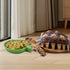 Leaf Shape Reptile Food Water Bowl 2 Pieces Reptile Plate Dish Drinking Bowl for Tortoise Corn Snake Crawl Pet Drinking and Eating, 2 Sizes...