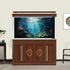 Aquarium Background Underwater World Corals and Tropical Fish Terrarium Background Various Undersea Aquatic Plants Rocks Aquarium Backdrop Beautif...