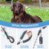 BAAPET 2/4/5/6 FT Dog Leash with Comfortable Padded Handle and Highly Reflective Threads for Small Medium and Large Dogs (6FT-1/2'', Silver)...