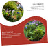 Flower Decor 24pcs Butterfly Garden Decoration Beautiful Decoration Metal Stakes Outdoor Garden Stakes Metal Lawn Ornaments Windmill Decor Foot Ha...