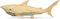 Puzzled 3D Puzzle Shark Wood Craft Construction Model Kit, Fun Unique and Educational DIY Wooden Toy Assemble Model Unfinished Crafting Hobby Puzz...