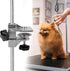 EVTSCAN Pet Grooming Table, Clamp Metal Dog Grooming Table Arm H Bar Clamp Holder Aid Accessory Hair Dryer Clamp Clip Holder(2.3 * 2.3cm)...