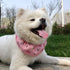 KUDES Dog Cooling Bandana Collar with Recyclable Ice Packs, Pet Dog Adjustable Ice Chill Out Collar Scarf Neck Cooler Wrap for Cat Small Medium La...
