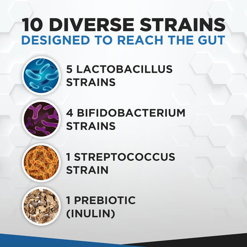 Probiotics for Digestive Health 60 Capsules | 60 Billion CFU Scientifically Formulated Multi Strain Probiotic Blend | Organic Supplements with Pre...