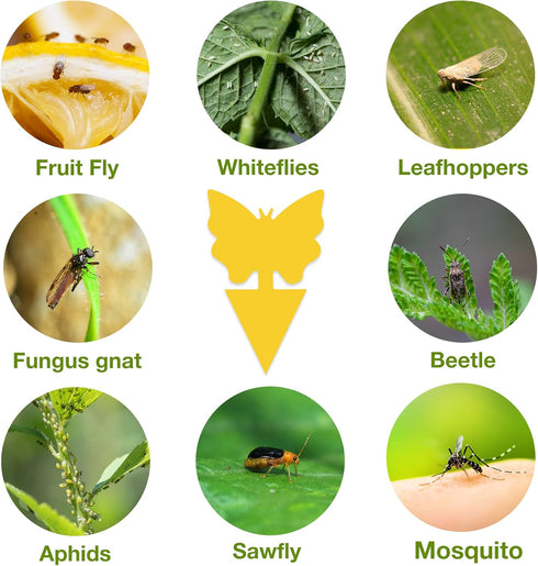 120 Pack Fungus Gnat Traps for House Indoor, Fungus Traps Fruit Fly Traps for Indoors Gnats Sticky Traps for Plants Yellow Sticky Traps for Gnats...