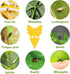 120 Pack Fungus Gnat Traps for House Indoor, Fungus Traps Fruit Fly Traps for Indoors Gnats Sticky Traps for Plants Yellow Sticky Traps for Gnats...