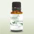 Cajeput Essential Oil (15ml) - Direct from Central Java, Indonesia - Essential Oils for Diffusers Aromatherapy; Essential Oils for Body; Massage O...